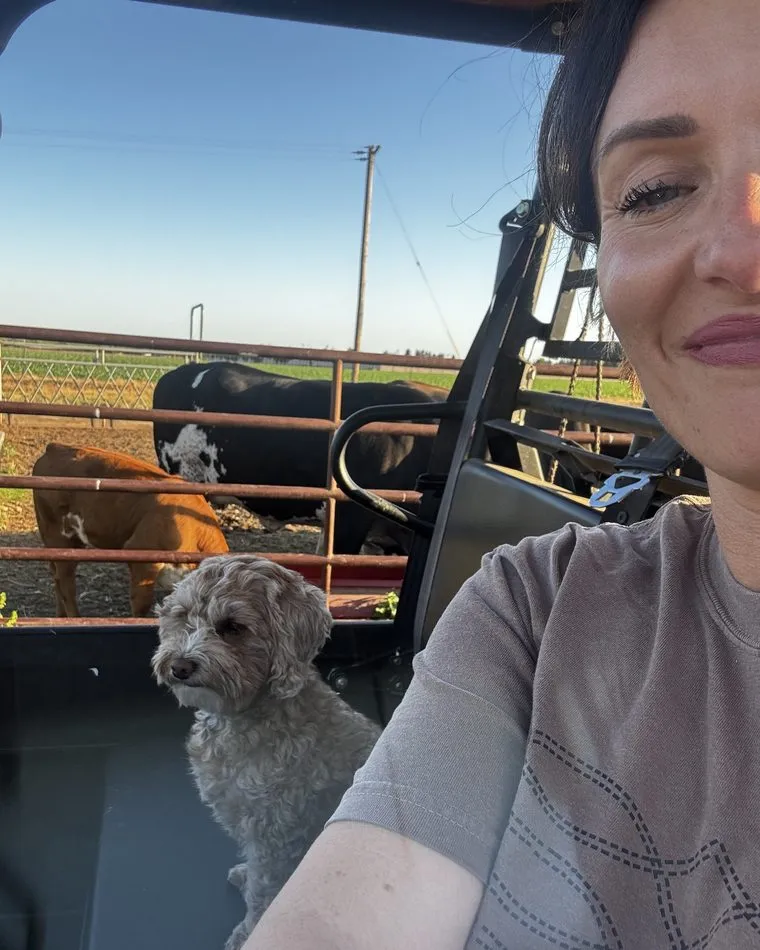 Dr. Kaci Kuykendall driving a utility vehicle at the family ranch with the dog riding along and cattle behind the fence
